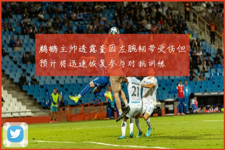 鹈鹕主帅透露奎因左腕韧带受伤但预计将迅速恢复参与对抗训练