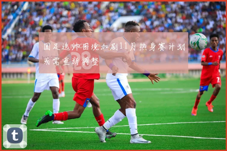 国足选帅困境加剧11月热身赛计划或需重新调整