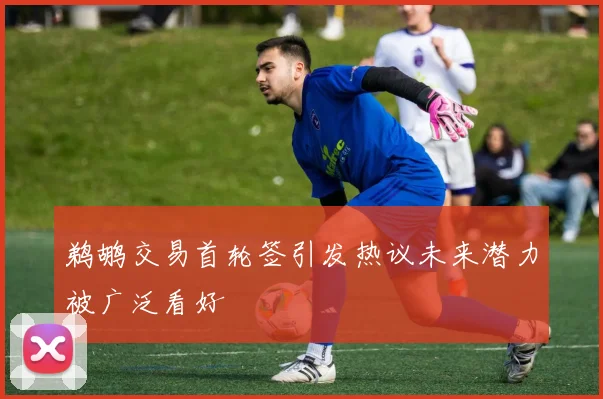 鹈鹕交易首轮签引发热议未来潜力被广泛看好