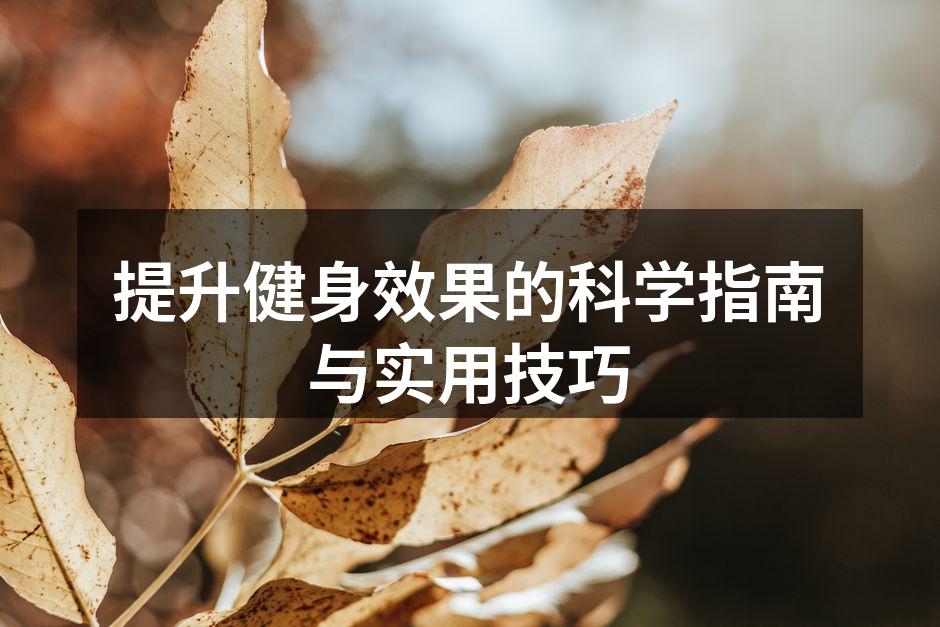 健身器材选择指南